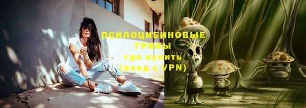 мет Белокуриха