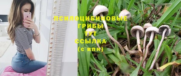 спайс Белоозёрский