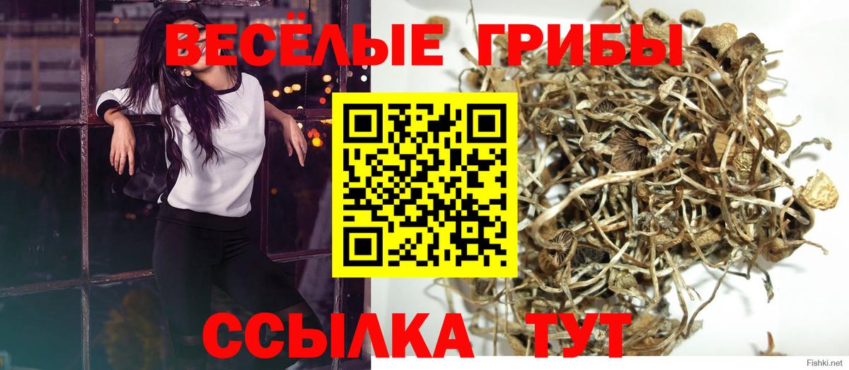Галлюциногенные грибы MAGIC MUSHROOMS Абакан