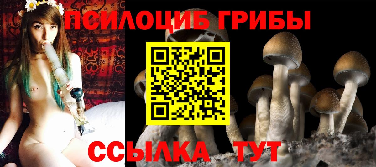 Абакан  где продают   Вход с VPN  Галлюциногенные грибы мицелий 